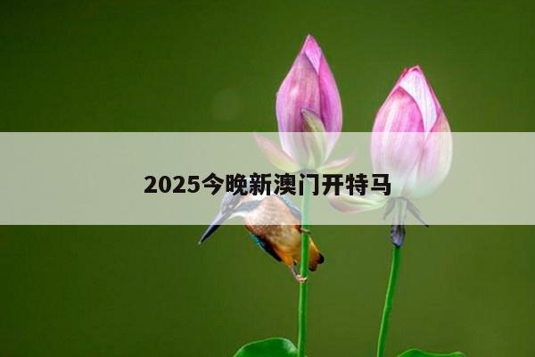 2025今晚新澳门开特马