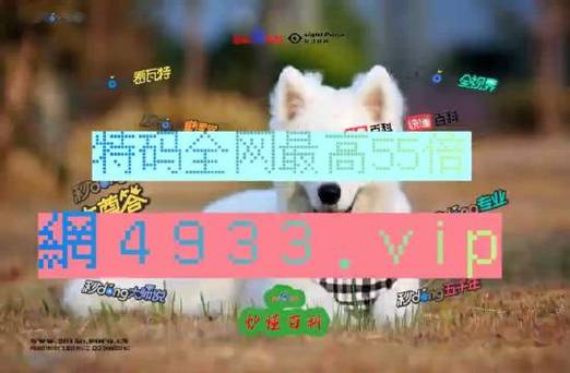 2024澳门天天开彩结果,设计策略快速解答_VR型43.237