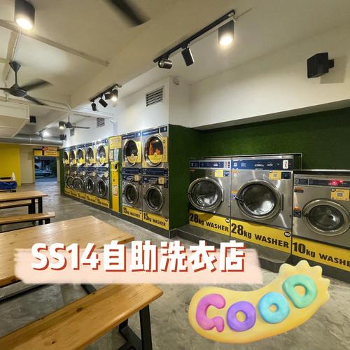 我美丽的洗衣店,真实经典策略设计_VR型43.237