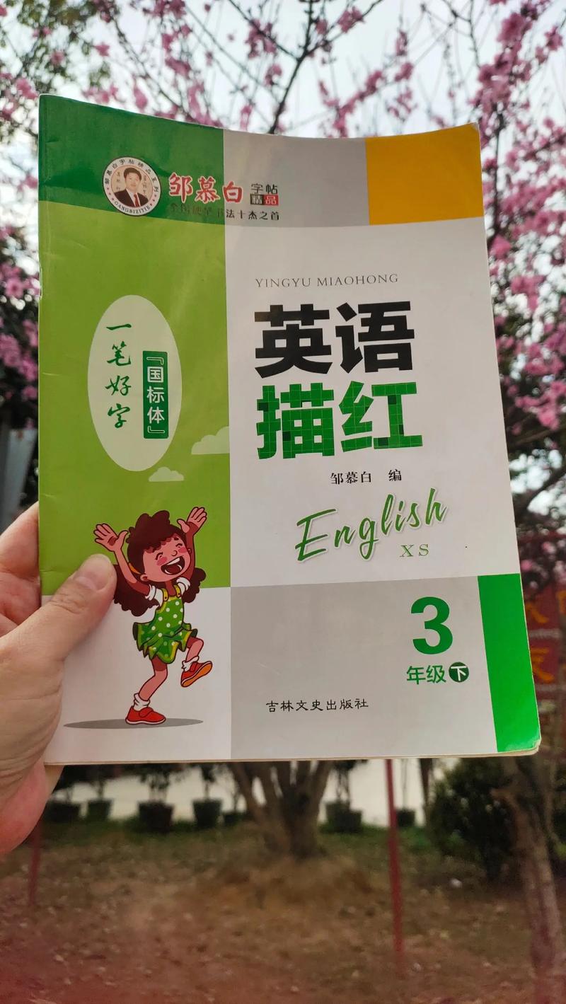 2024澳门资料大全免费老版110期资料,绝对策略计划研究_社交版40.12.0