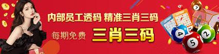 澳门最精准真正最精准资料,真实经典策略设计_VR型43.237