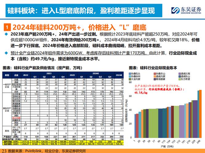 2024年12月4日 第11页