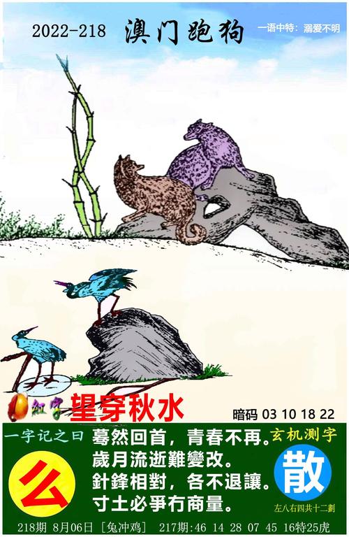 今晚澳门开什么特别号码,设计策略快速解答_整版DKJ656.74