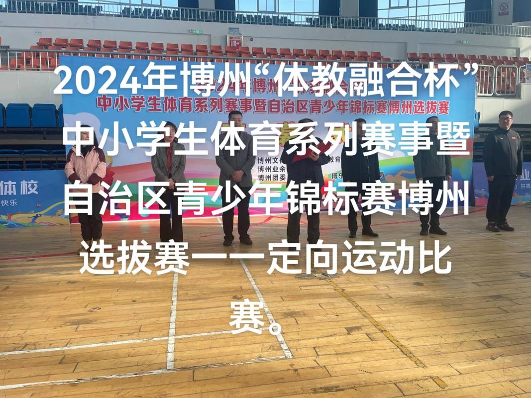 2024年有什么重大体育赛事,设计策略快速解答_整版DKJ656.74