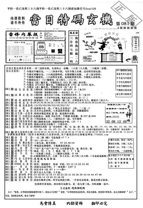 香港二四六开奖免费资料246,设计策略快速解答_VR型43.237