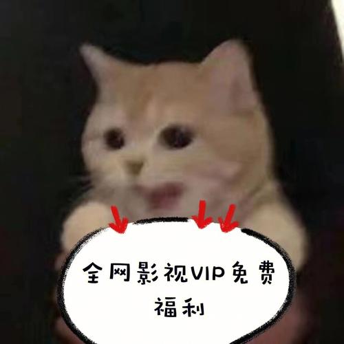 免vip追剧影视软件uc,设计策略快速解答_VR型43.237