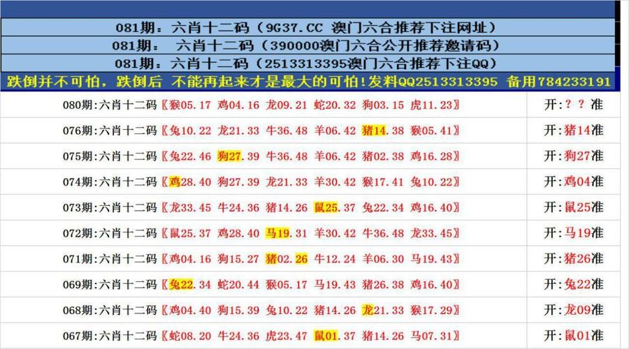 澳门六合最准资料,设计策略快速解答_整版DKJ656.74