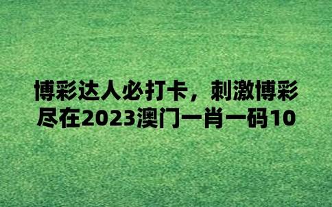 澳门正版资料全年免费公开精准资料一,真实经典策略设计_VR型43.237