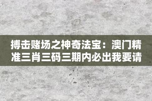 澳门精准资料大全网站,设计策略快速解答_整版DKJ656.74