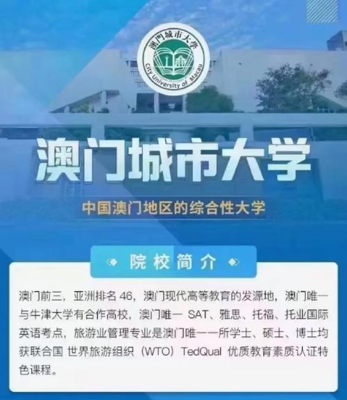 2023年澳门正版资料全年免费,设计策略快速解答_整版DKJ656.74