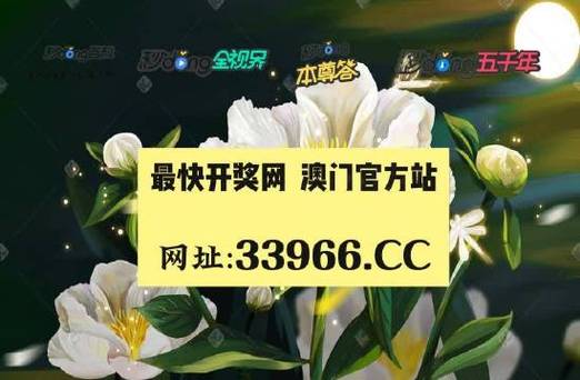 2021年澳门码开奖历史记录,设计策略快速解答_VR型43.237