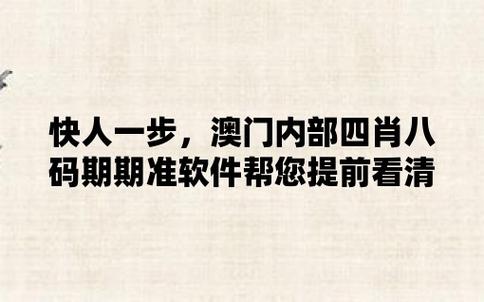 澳门精选免费精准资料大全最新版,设计策略快速解答_整版DKJ656.74