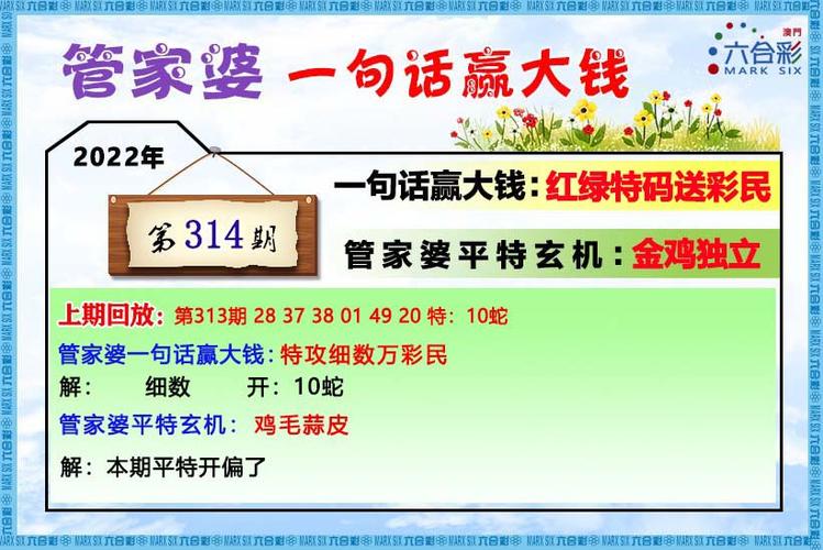 2022年澳门6合资料,设计策略快速解答_整版DKJ656.74