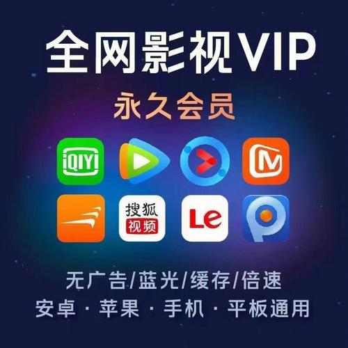 不用vip的免费追剧软件tv版,设计策略快速解答_整版DKJ656.74