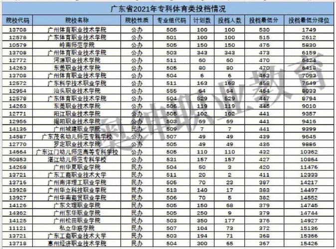 高考体育没过线,真实经典策略设计_VR型43.237