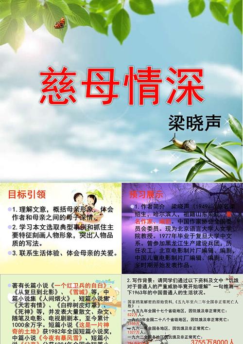 母女情深下一句是什么,设计策略快速解答_整版DKJ656.74