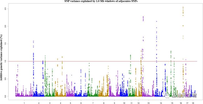 哪里看体育比赛回放,设计策略快速解答_VR型43.237