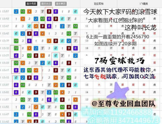 两组6码必中一组方法,设计策略快速解答_整版DKJ656.74