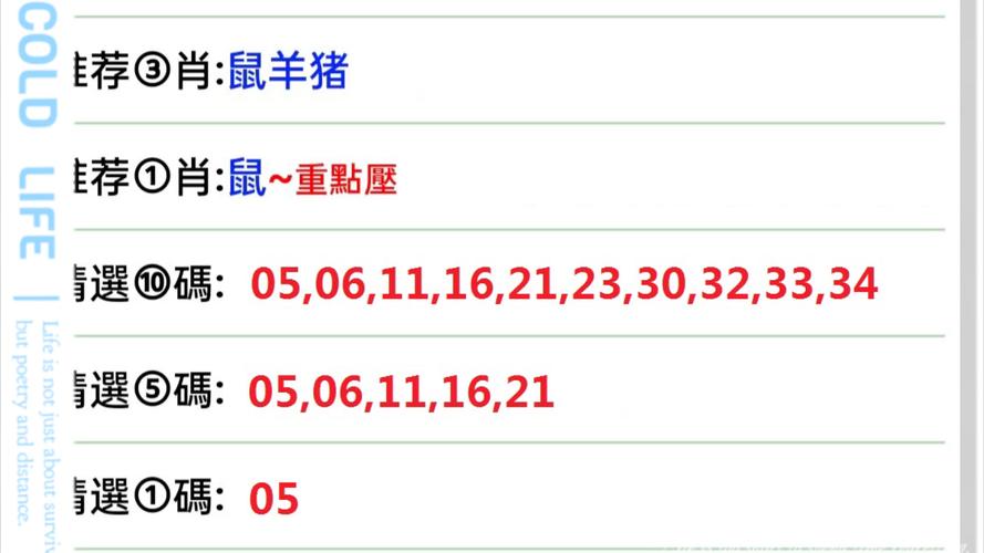 2025年2月25日 第3页