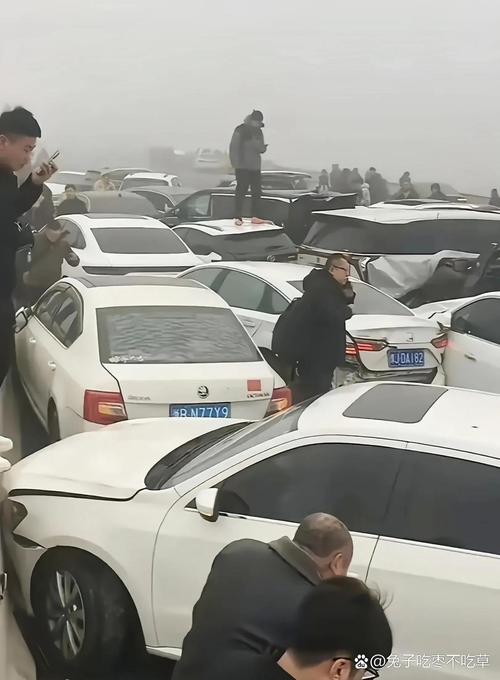 洛阳一车高速逆行