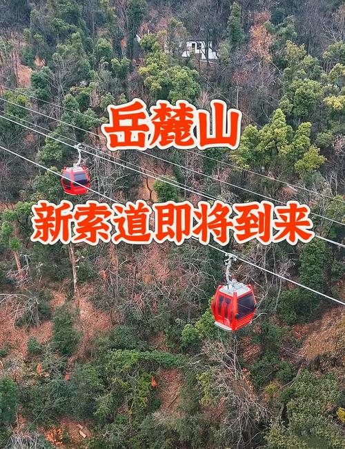 岳麓山索道夜间运营