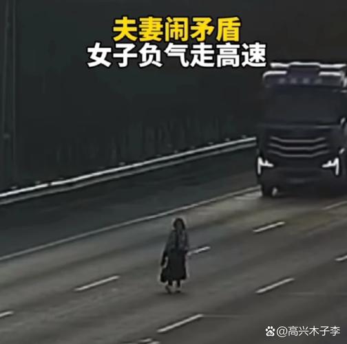 吵架把丈夫扔高速上