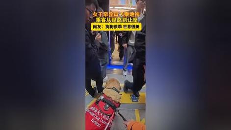 带导盲犬住全季被拒